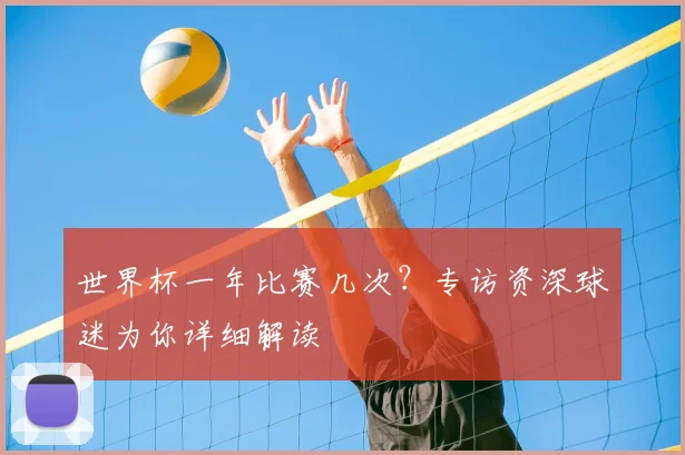 世界杯一年比赛几次?专访资深球迷为你详细解读