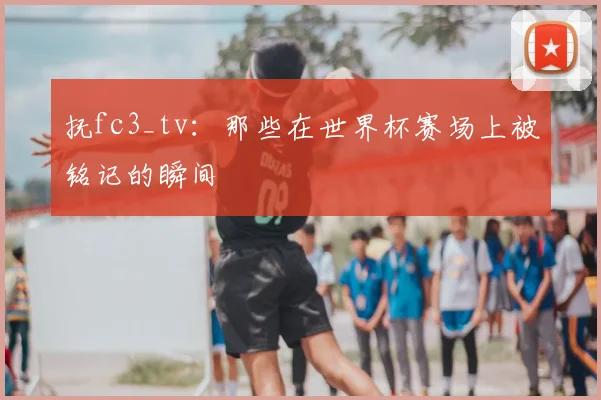 抚fc3_tv：那些在世界杯赛场上被铭记的瞬间