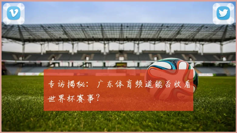 专访揭秘:广东体育频道能否收看世界杯赛事?