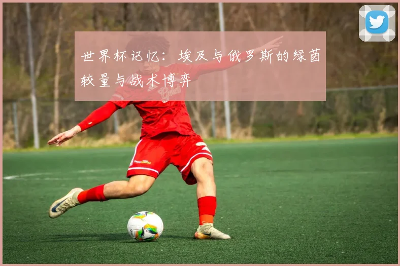 世界杯记忆:埃及与俄罗斯的绿茵较量与战术博弈