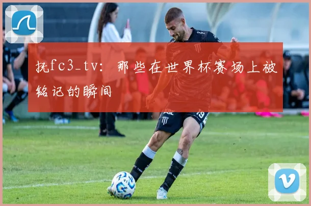 抚fc3_tv：那些在世界杯赛场上被铭记的瞬间