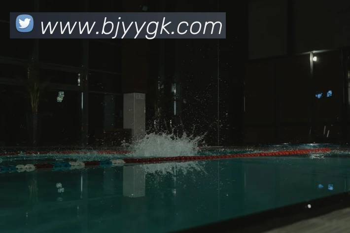 九游体育app官方入口服务体系